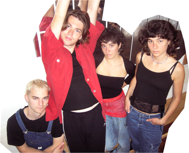 Deluxe Lynx Band bild